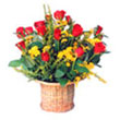 Florist and Gift delivery to Bangalore