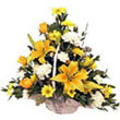 Florist and Gift delivery to Bangalore