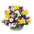 Florist and Gift delivery to Bangalore