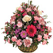 Florist and Gift delivery to Bangalore