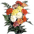 Florist and Gift delivery to Bangalore