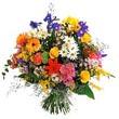 Florist and Gift delivery to Bangalore