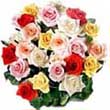 Florist and Gift delivery to Bangalore